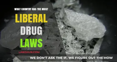 Exploring Nations with the Most Liberal Drug Policies Worldwide