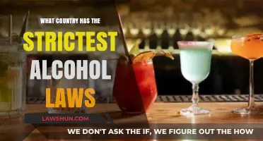 Exploring the World's Toughest Alcohol Restrictions: Which Nation Leads?