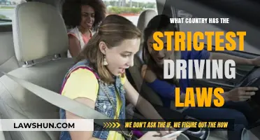 Exploring the World's Toughest Driving Laws: Which Country Reigns Supreme?