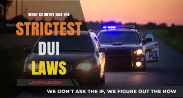 Global DUI Laws Compared: Which Country Enforces the Strictest Penalties?