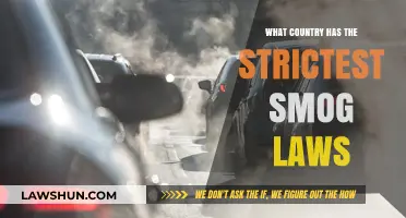 Breathing Clean: Which Nation Enforces the Strictest Smog Regulations?