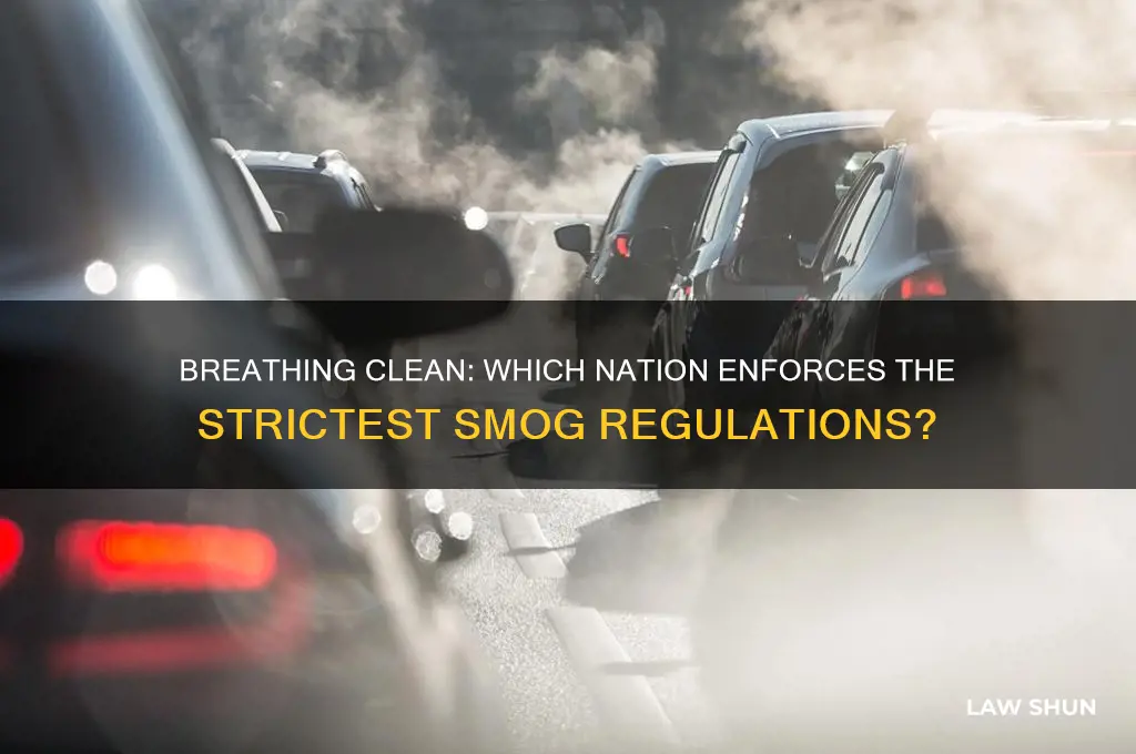 what country has the strictest smog laws