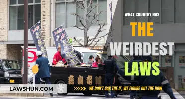 Unusual Statutes: Exploring the World's Strangest National Laws