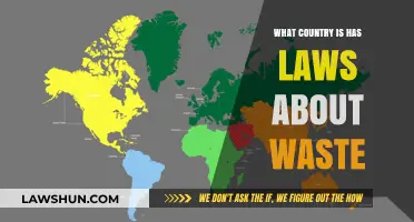 Global Waste Management: Countries with Strictest Waste Disposal Laws