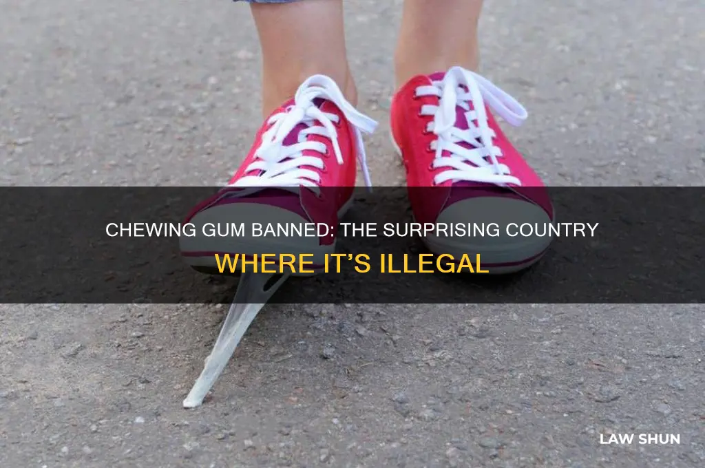 what country is it against the law to chew gum