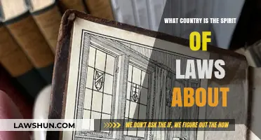 Exploring Montesquieu's Spirit of Laws: Which Country Inspired Its Principles?
