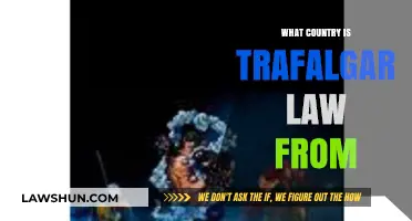Unveiling Trafalgar Law's Origin: Which Country Does He Hail From?