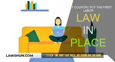 Labor Law Origins: Which Country Led the Way?
