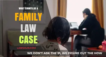 Understanding Family Law Cases: What Qualifies?