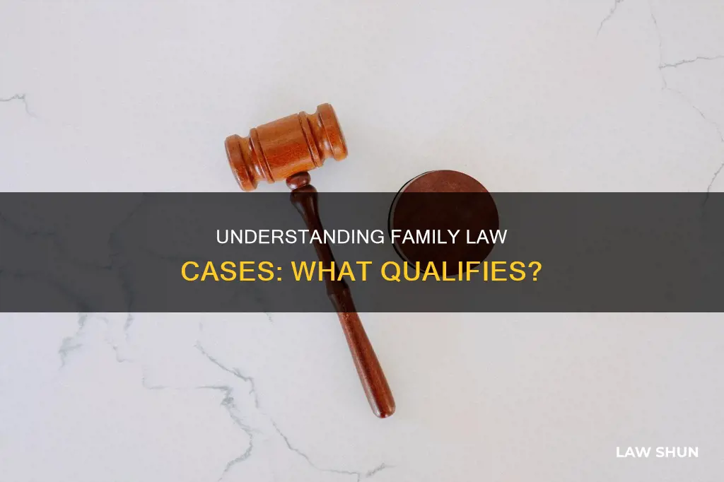what counts as a family law case