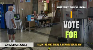 Understanding Your Voting Jurisdiction: Which County Court Should You Choose?