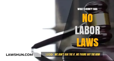 Exploring the Shocking Reality of Counties Without Labor Laws