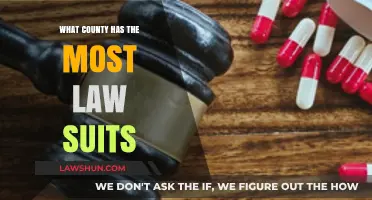 Which County Tops the List for Most Lawsuits Filed?