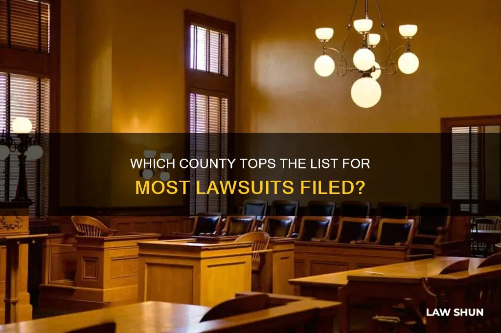 what county has the most law suits