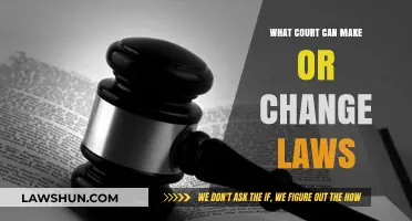Understanding Judicial Lawmaking