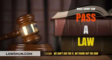 Which Courts Can Create Laws?