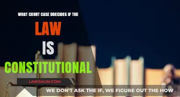 Court Cases: Deciding Constitutionality of Laws