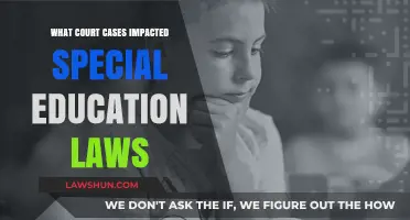 Landmark Court Cases: Shaping Special Education Laws