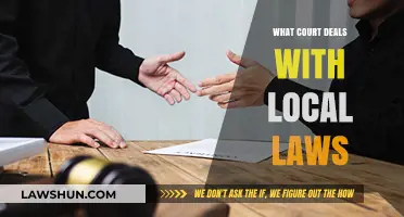 Understanding Local Law Enforcement: Which Court Handles Community Regulations?
