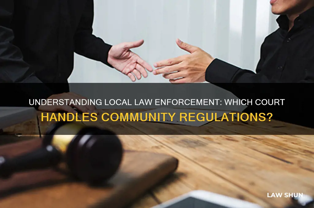 what court deals with local laws