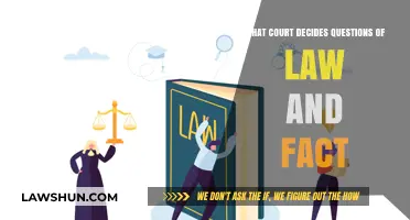 Understanding the Court's Role in Deciding Questions of Law and Fact