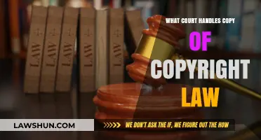 Understanding Copyright Law: Which Court Handles Infringement Cases?