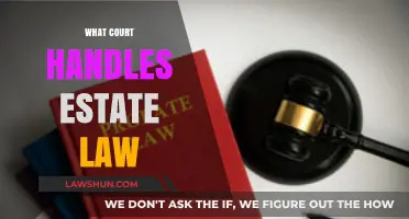 Understanding Estate Law: Which Court Manages Probate and Inheritance Cases?