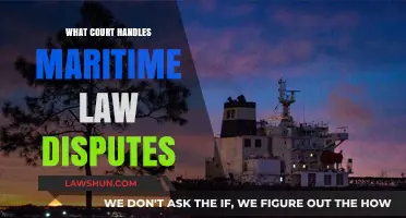 Navigating Maritime Disputes: Which Court Handles Admiralty Law Cases?