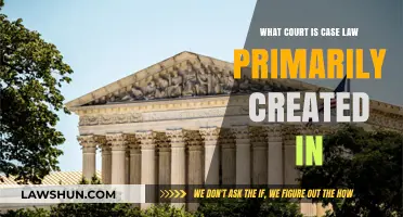 Case Law: Understanding the Court System
