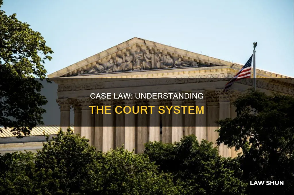 what court is case law primarily created in