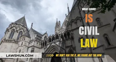 Understanding Civil Law Courts: Jurisdiction, Procedures, and Key Functions