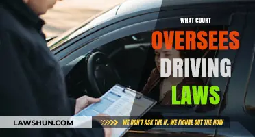 Understanding the Court System: Which Court Oversees Driving Laws?