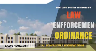 Understanding Court Roles Established in Law Enforcement Ordinances