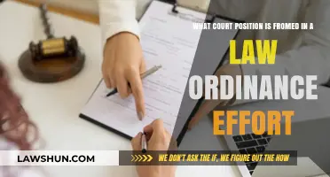 Understanding Court Positions Established Through Law Ordinance Efforts