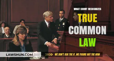 Common Law: Which Courts Recognize It?