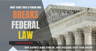 Federal Lawbreakers: Which Court Handles Their Cases?