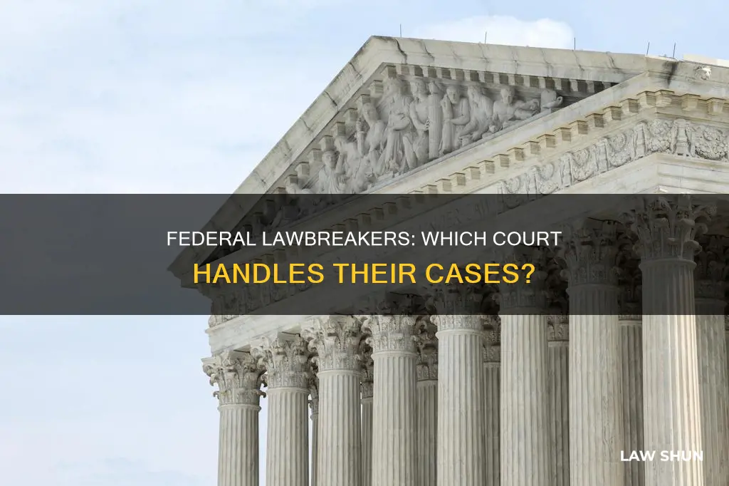 what court tries a person who breaks federal law