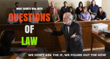 Understanding Which Courts Handle Questions of Law: A Comprehensive Guide