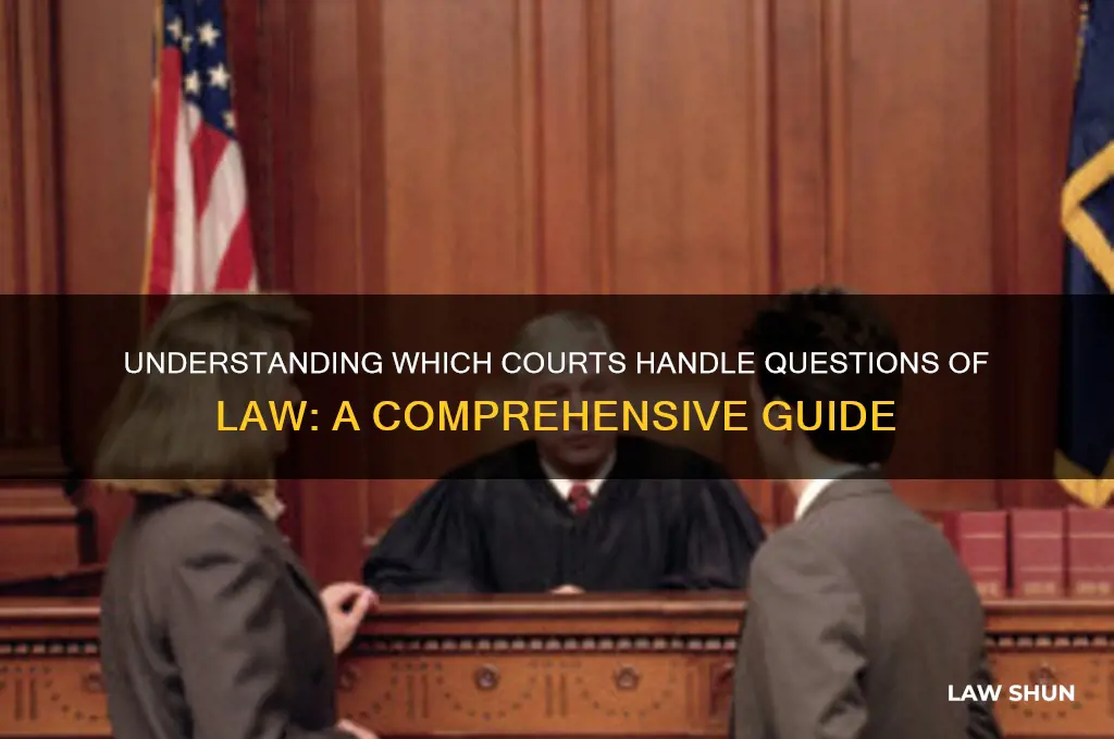 what courts deal with questions of law