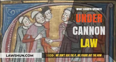 Understanding Courts Operating Under Cannon Law: A Comprehensive Overview