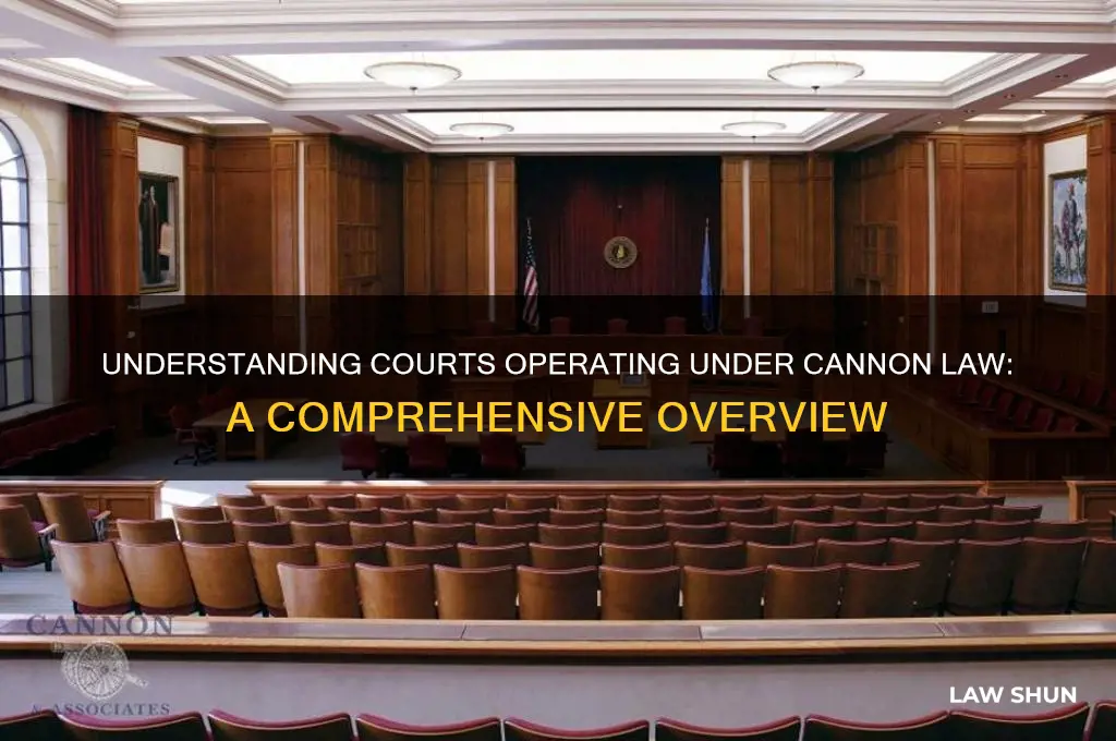 what courts operate under cannon law