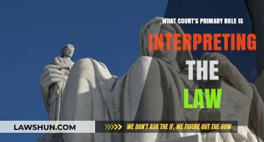 Understanding the Court's Vital Role in Interpreting the Law