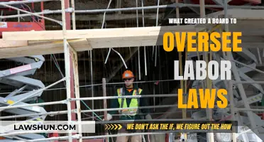 Enforcing Labor Laws: The Board's Role and Creation
