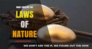 How Did Nature's Laws Come to Be?