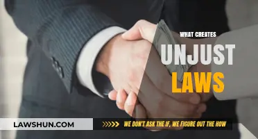Unjust Laws: A Product of Ignorance and Inequality