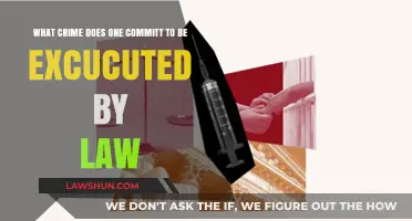Capital Offenses: Understanding Crimes That Warrant Legal Execution