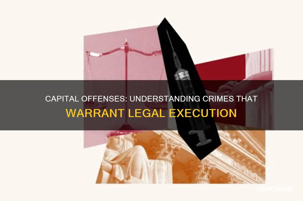 what crime does one committ to be excucuted by law