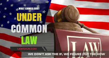 Crimes Under Common Law: What Are They?
