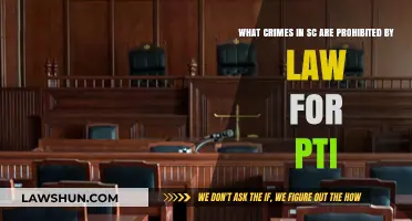SC Law: Prohibited Crimes for PTI Participants Explained