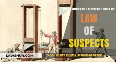 Understanding the Law of Suspects: Crimes and Punishments Explained
